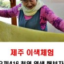 오끼416갤러리 이미지