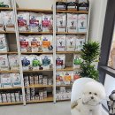 라비동물병원 이미지