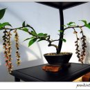 계양아트갤러리 이미지