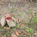 죽전체육공원 이미지