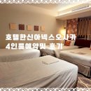 한신슈퍼 | 우메다역근처숙소 호텔한신아넥스오사카 스탠다드 트리플룸 4인룸 예약 및 내돈내산후기