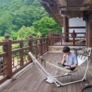 민병철교육그룹
