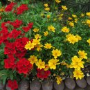 온수근린공원 이미지