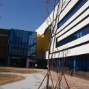 인천서구발달장애인평생교육센터 이미지