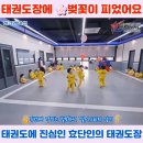 효단태권도장 이미지