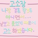 프로아티스트 이미지