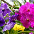 종난농장 이미지