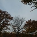 시화동원아파트 이미지