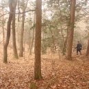 벧엘사슴농장 이미지