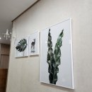 김현주치과의원 이미지