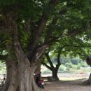 용암마을 이미지