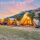 하비리조트 | 캠핑장 추천 하비리조트 글램핑 가격 예약 찐 후기