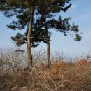 춘수농장 이미지