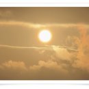 바다파파 이미지