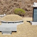 의병장 안승우묘 이미지