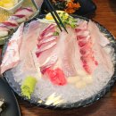 삼송/지축 맛집 회바라기 숙성회가 맛있었던 넓은 지축역 횟집