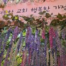 송월동행정복지센터 강당 | 6.3 지방선거 사전투표 후기 준비물 투표시간 정리
