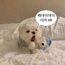 대야삼 2공원 공중화장실 | 체코 프라하 무계획 7월 여행 (2) / 맛집추천, 와인축제, 하벨시장, 아인슈타인 카페, 노을 명소...