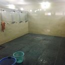 월드해수사우나 이미지