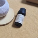 스테이인숲 이미지