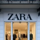 자라 앞 이미지