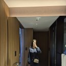 사이드콜렉티브 | [오키나와] 나하 호텔 컬렉티브(콜렉티브) 후기