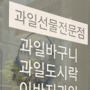 로즈애플자이