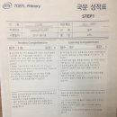 마포메이플베어