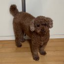 향화촌 황토 한증막 | 먹고 또 먹어