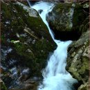 지리산..(우수청골-큰새골) 이미지
