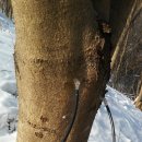 현천농장 이미지