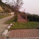 군외면-1 이미지