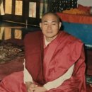 수행정사 이미지