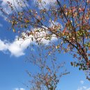 향남2 화합공원 축구장 이미지