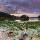 와우호수공원 이미지