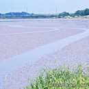 대부바다향기 테마파크 이미지