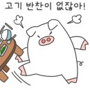 들메꽃 네이버블로그