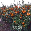 국민수농장 이미지