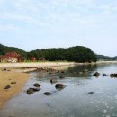 오투오션2