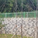 광교호수중학교 이미지