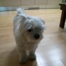 올리브백화점 이미지