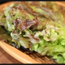 채영진의 명품생고기 무한리필 이미지