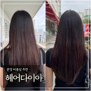 베스트드라이 | 분당 미용실 추천 ‘헤어다이아’ 긴머리 C컬드라이 뿌리볼륨매직 후기