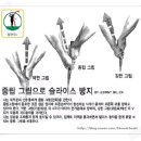 임펙트