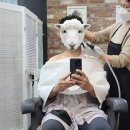 도나컨시어지 | 건대(자양동) 탈모전문센터 도나컨시어지 방문후기