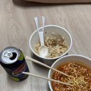 동광로11길 36 | 🍊제주대 계절학기 학점교류🍊| ep. 1 공항에서 제주대 가는법, 제주대학교 기숙사, 교양배드민턴, 이호...