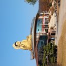 철마목욕탕 Daum카페