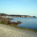 고성자연사박물관 이미지