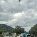 동명농장2 이미지