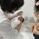 드이자르 산후조리원 이미지